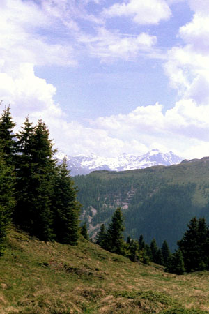 Obermutten29