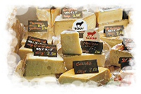 Schweizer Käse Appenzellerkäse Bündner Bergkäse Jura Bergkäse Gstaader Käse