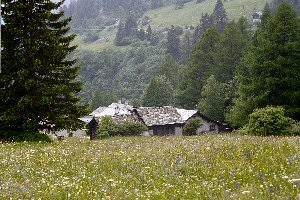 Malojapass in Graubnden