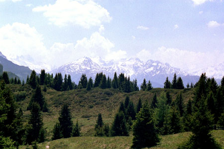 Obermutten Graubnden