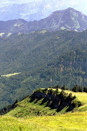 rigi010