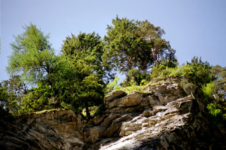 ViaMala12
