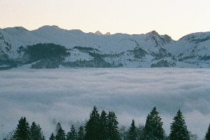 Zu den Winterfotos