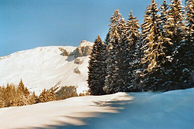 Winterfotos